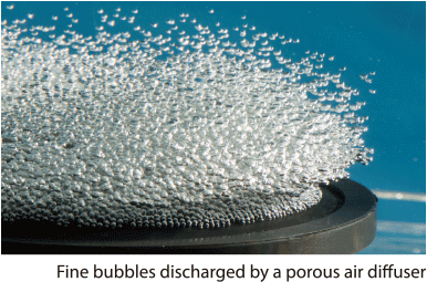 Fine bubbles discharged by a porous air diffuser